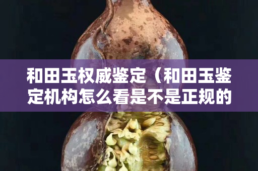 和田玉权威鉴定（和田玉鉴定机构怎么看是不是正规的）