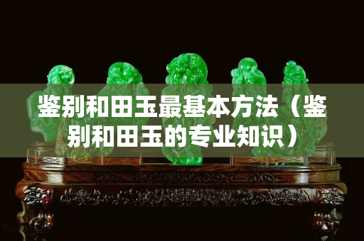 鉴别和田玉最基本方法（鉴别和田玉的专业知识）