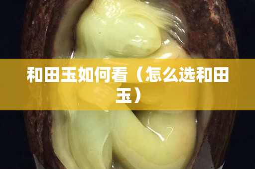 和田玉如何看（怎么选和田玉）
