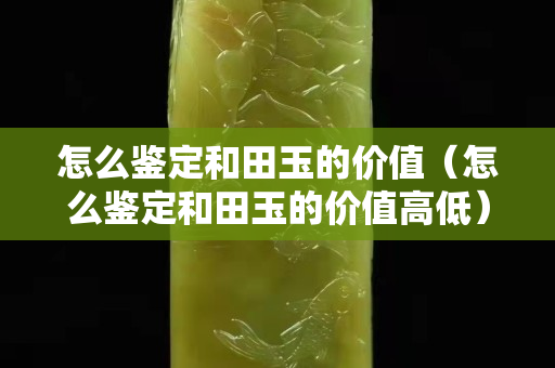 怎么鉴定和田玉的价值（怎么鉴定和田玉的价值高低）