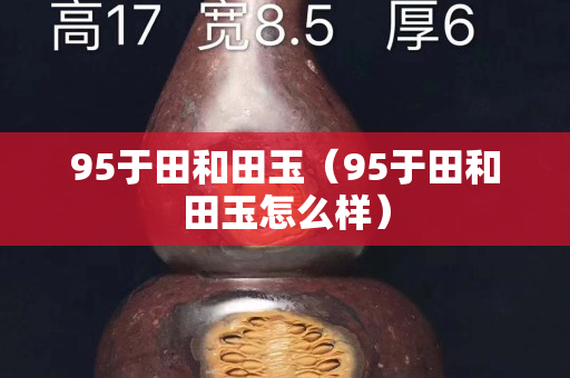 95于田和田玉（95于田和田玉怎么样）