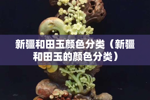 新疆和田玉颜色分类（新疆和田玉的颜色分类）
