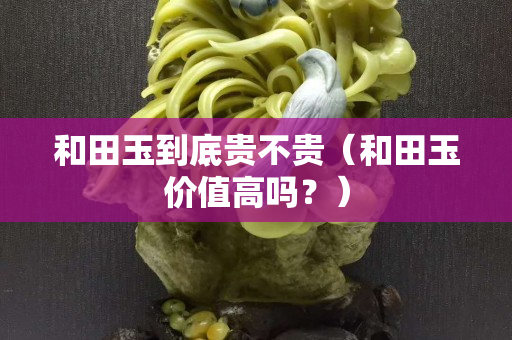 和田玉到底贵不贵（和田玉价值高吗？）