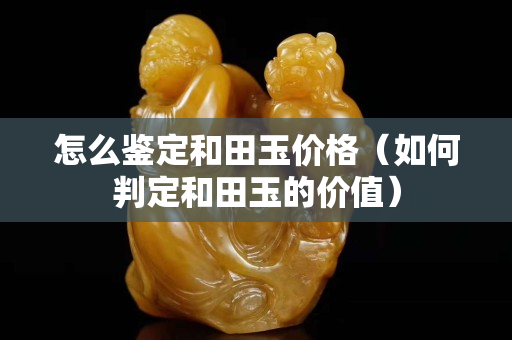怎么鉴定和田玉价格（如何判定和田玉的价值）