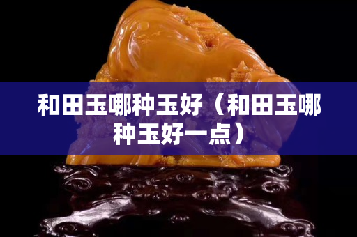 和田玉哪种玉好（和田玉哪种玉好一点）