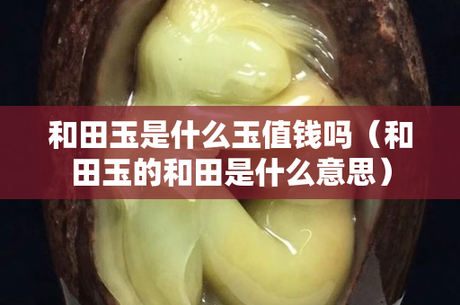 和田玉是什么玉值钱吗（和田玉的和田是什么意思）