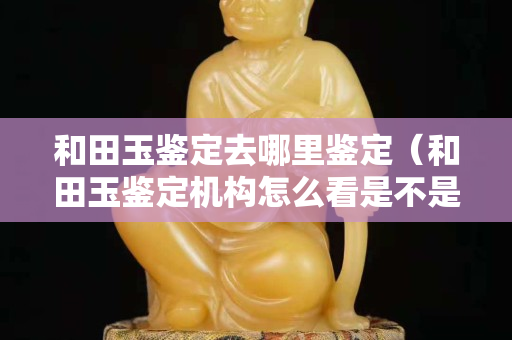 和田玉鉴定去哪里鉴定（和田玉鉴定机构怎么看是不是正规的）