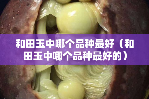 和田玉中哪个品种最好（和田玉中哪个品种最好的）
