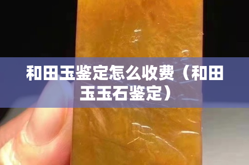 和田玉鉴定怎么收费（和田玉玉石鉴定）
