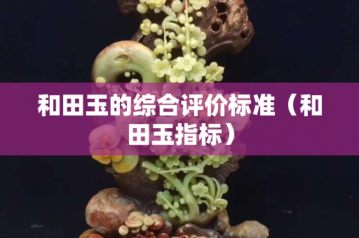 和田玉的综合评价标准（和田玉指标）