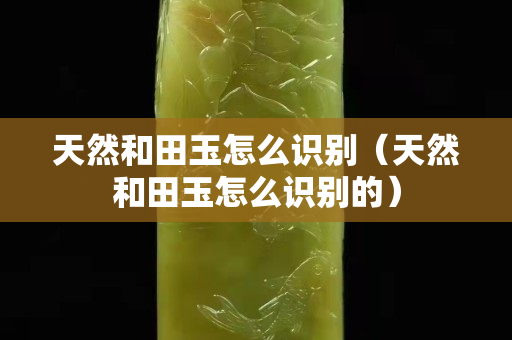 天然和田玉怎么识别（天然和田玉怎么识别的）