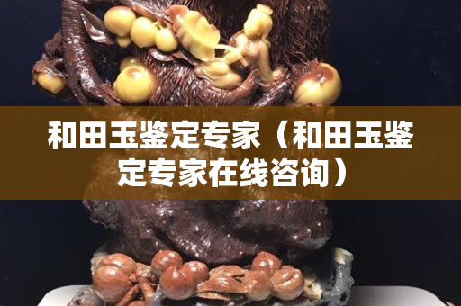 和田玉鉴定专家（和田玉鉴定专家在线咨询）