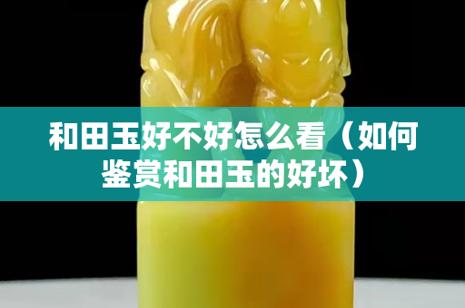 和田玉好不好怎么看（如何鉴赏和田玉的好坏）