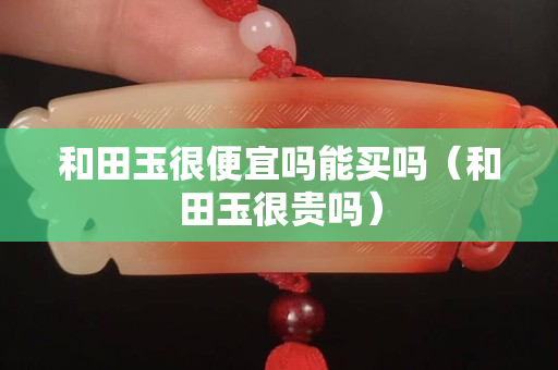 和田玉很便宜吗能买吗（和田玉很贵吗）
