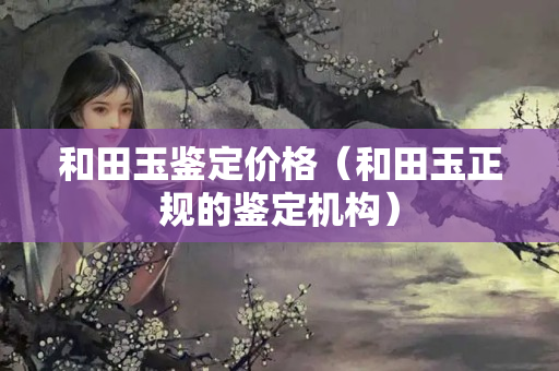 和田玉鉴定价格（和田玉正规的鉴定机构）