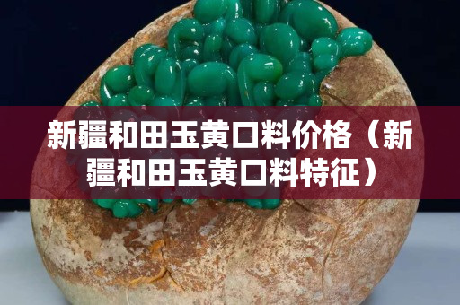 新疆和田玉黄口料价格（新疆和田玉黄口料特征）