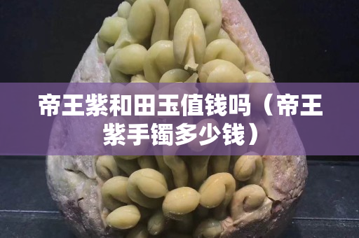 帝王紫和田玉值钱吗（帝王紫手镯多少钱）