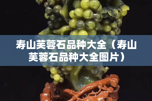 寿山芙蓉石品种大全（寿山芙蓉石品种大全图片）