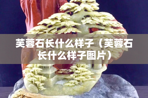 芙蓉石长什么样子（芙蓉石长什么样子图片）