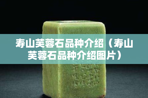 寿山芙蓉石品种介绍（寿山芙蓉石品种介绍图片）