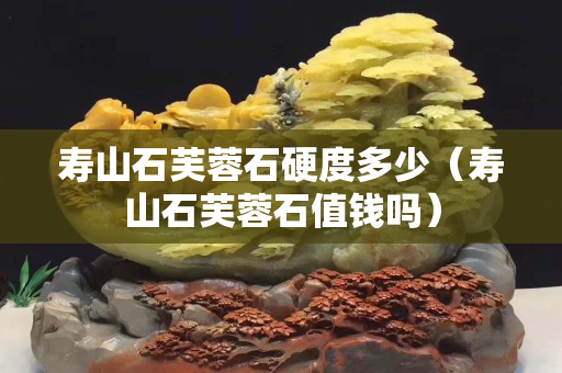寿山石芙蓉石硬度多少（寿山石芙蓉石值钱吗）