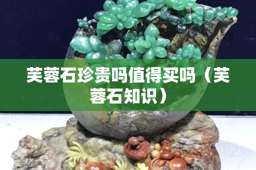 芙蓉石珍贵吗值得买吗（芙蓉石知识）