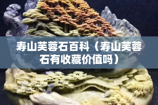 寿山芙蓉石百科（寿山芙蓉石有收藏价值吗）