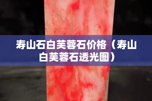 寿山石白芙蓉石价格（寿山白芙蓉石透光图）