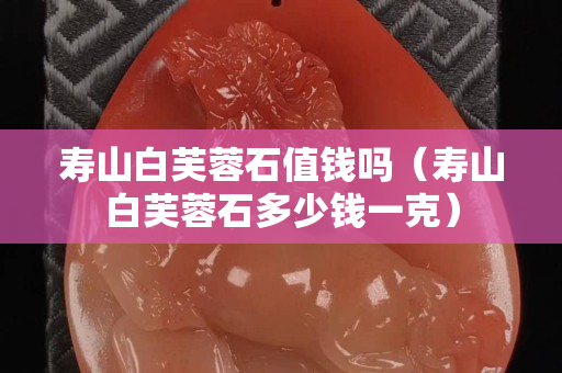 寿山白芙蓉石值钱吗（寿山白芙蓉石多少钱一克）