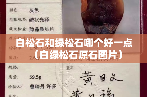 白松石和绿松石哪个好一点（白绿松石原石图片）
