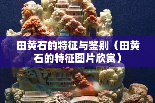 田黄石的特征与鉴别（田黄石的特征图片欣赏）