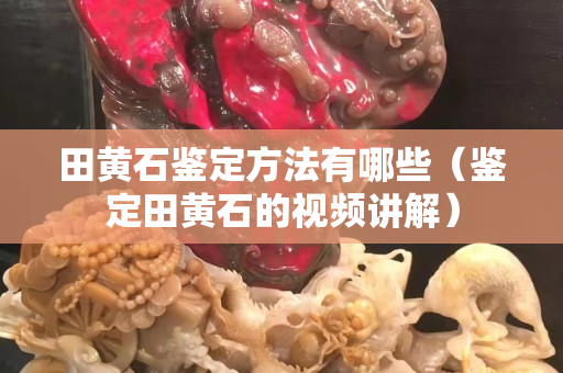 田黄石鉴定方法有哪些（鉴定田黄石的视频讲解）