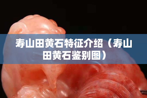 寿山田黄石特征介绍（寿山田黄石鉴别图）