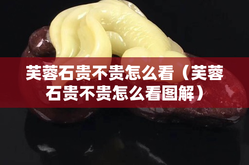 芙蓉石贵不贵怎么看（芙蓉石贵不贵怎么看图解）