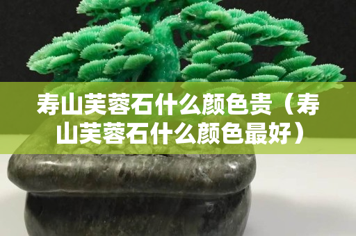 寿山芙蓉石什么颜色贵（寿山芙蓉石什么颜色最好）