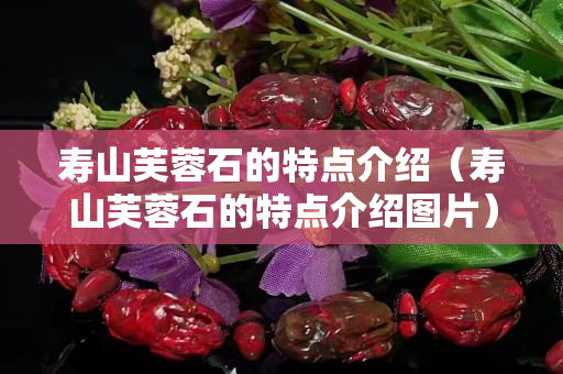 寿山芙蓉石的特点介绍（寿山芙蓉石的特点介绍图片）