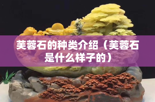 芙蓉石的种类介绍（芙蓉石是什么样子的）