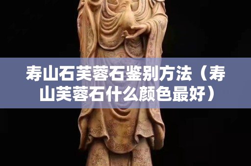 寿山石芙蓉石鉴别方法（寿山芙蓉石什么颜色最好）