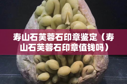 寿山石芙蓉石印章鉴定（寿山石芙蓉石印章值钱吗）