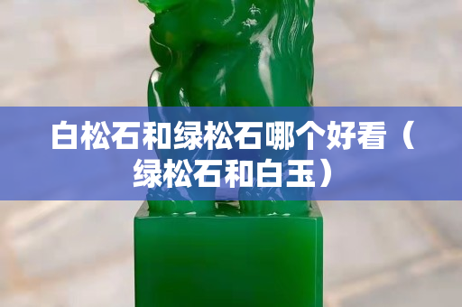 白松石和绿松石哪个好看（绿松石和白玉）