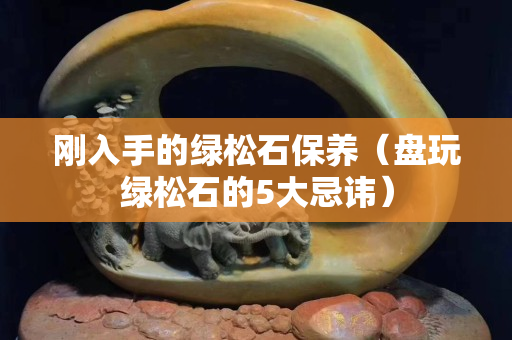 刚入手的绿松石保养（盘玩绿松石的5大忌讳）