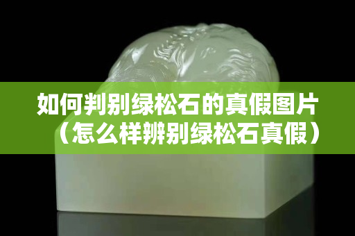 如何判别绿松石的真假图片（怎么样辨别绿松石真假）