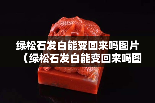 绿松石发白能变回来吗图片（绿松石发白能变回来吗图片欣赏）