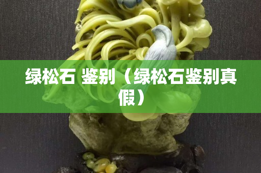 绿松石 鉴别（绿松石鉴别真假）