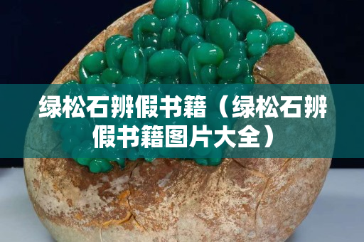 绿松石辨假书籍（绿松石辨假书籍图片大全）