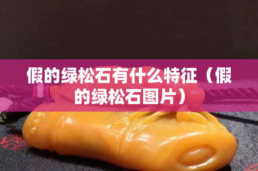 假的绿松石有什么特征（假的绿松石图片）