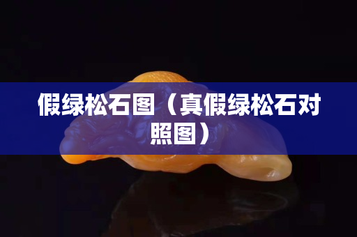 假绿松石图（真假绿松石对照图）