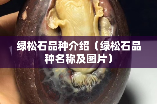 绿松石品种介绍（绿松石品种名称及图片）