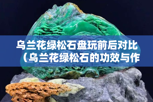 乌兰花绿松石盘玩前后对比（乌兰花绿松石的功效与作用）