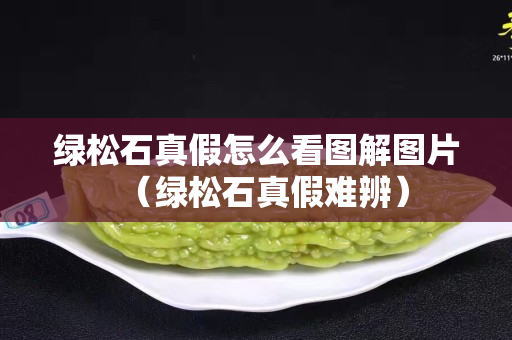 绿松石真假怎么看图解图片（绿松石真假难辨）